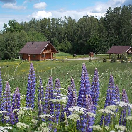 Guest House Kalnini Kārļi المظهر الخارجي الصورة
