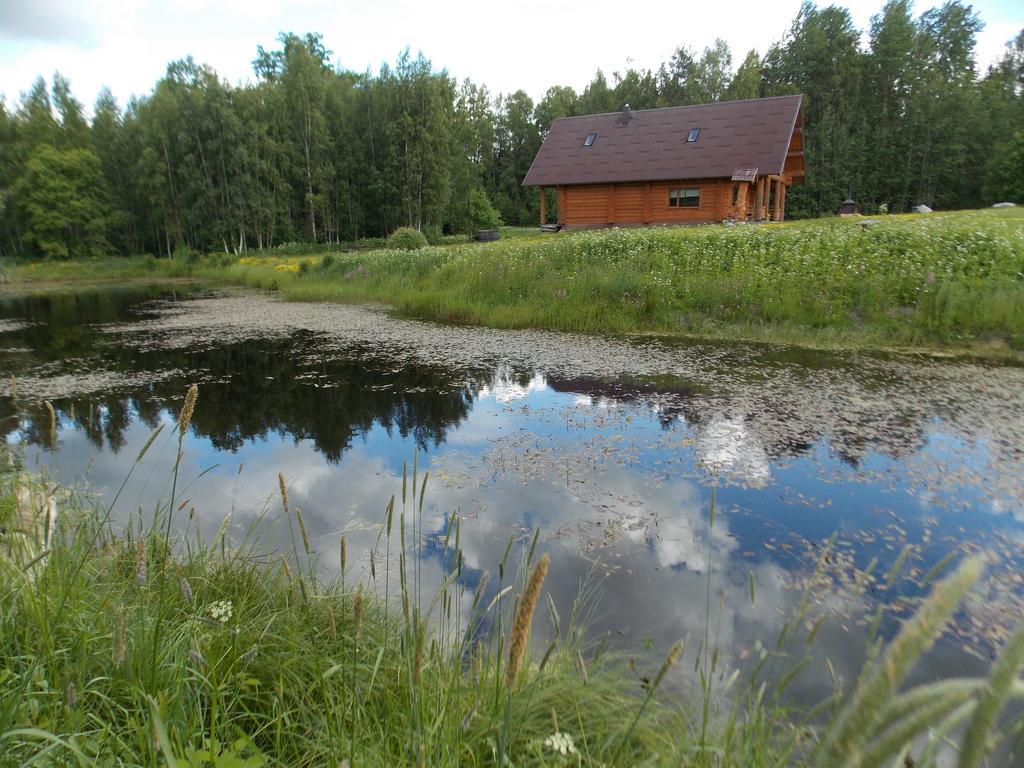Guest House Kalnini Kārļi المظهر الخارجي الصورة