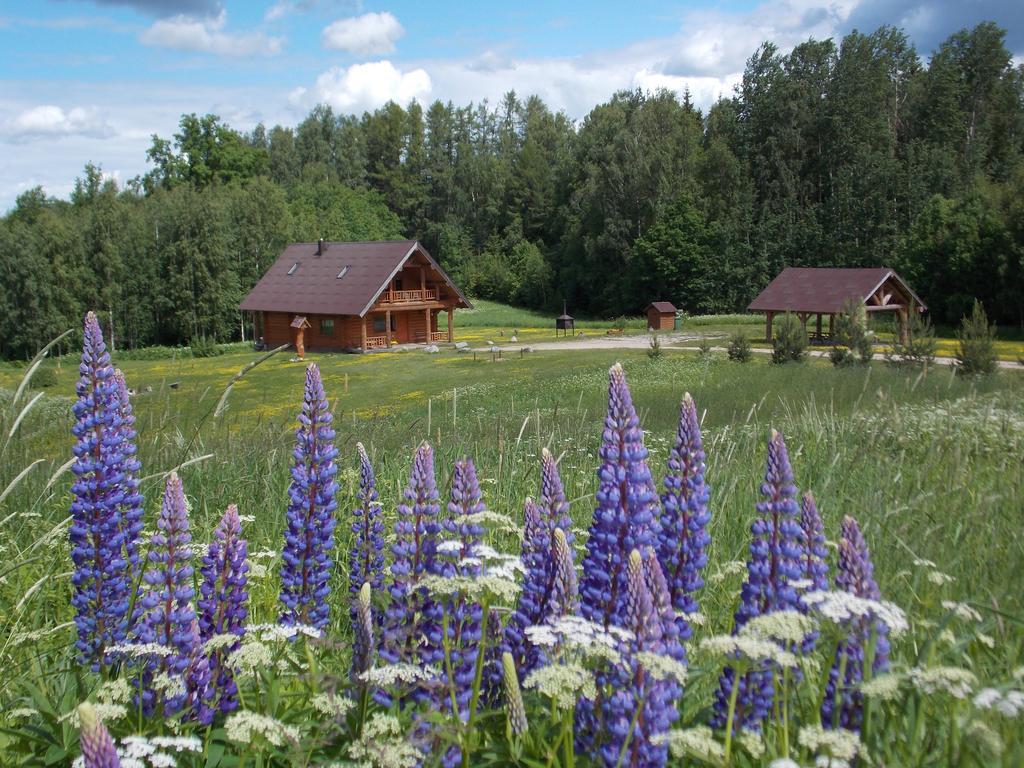 Guest House Kalnini Kārļi المظهر الخارجي الصورة